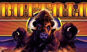 Free to Play Buffalo Slots Online NJ