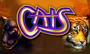 Free to Play CATS Slot Machine NJ