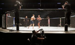 DraftKings-UFC