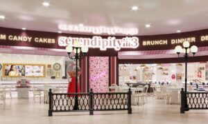 Serendipity3
