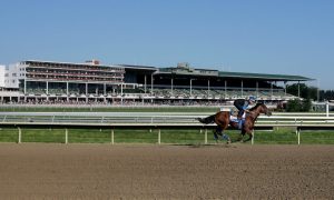 Monmouth Park during the Haskell Invitational for a story on bills to authorize New Jersey horse racing tracks to get in on NJ online casino gaming