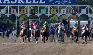 Horses race out of the starting gate for the Haskell Stakes for a story on the 2024 race getting ready to kick off at Monmouth Park.