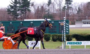 A horse warms up at Freehold Raceway in New Jersey.