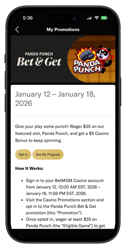 BetMGM-Casino_Panda_Punch_Promo_Terms